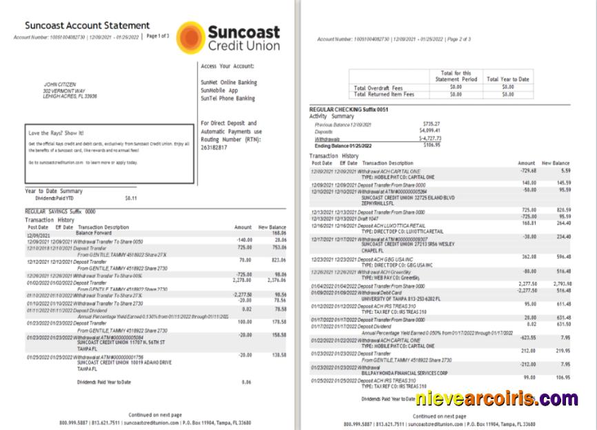 USA Suncoast bank statement Word and PDF 1-2
